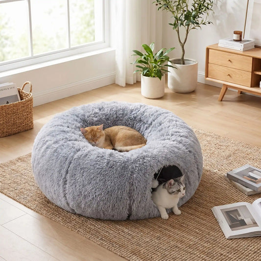chat qui joue dans son tunnel chat modulable
