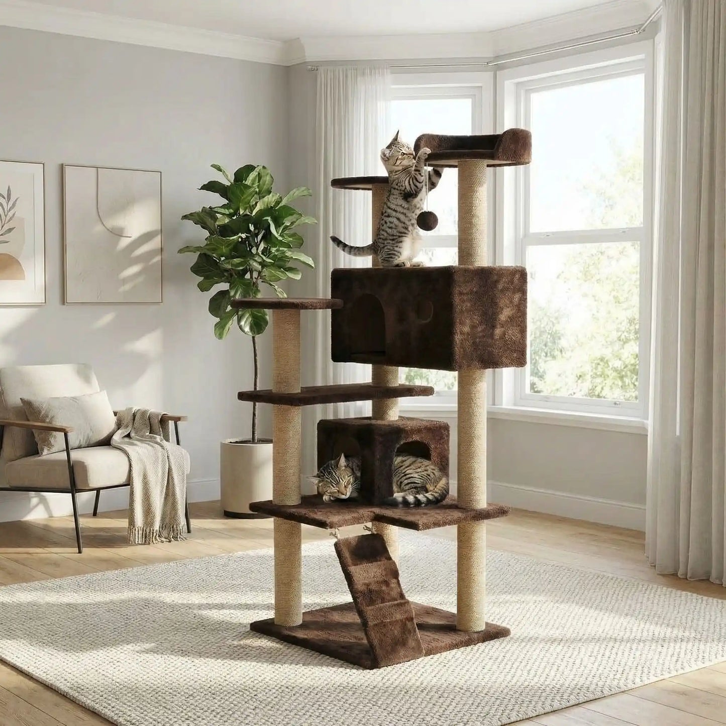 chat qui joue en hauteur grace au nouvel arbre a chat