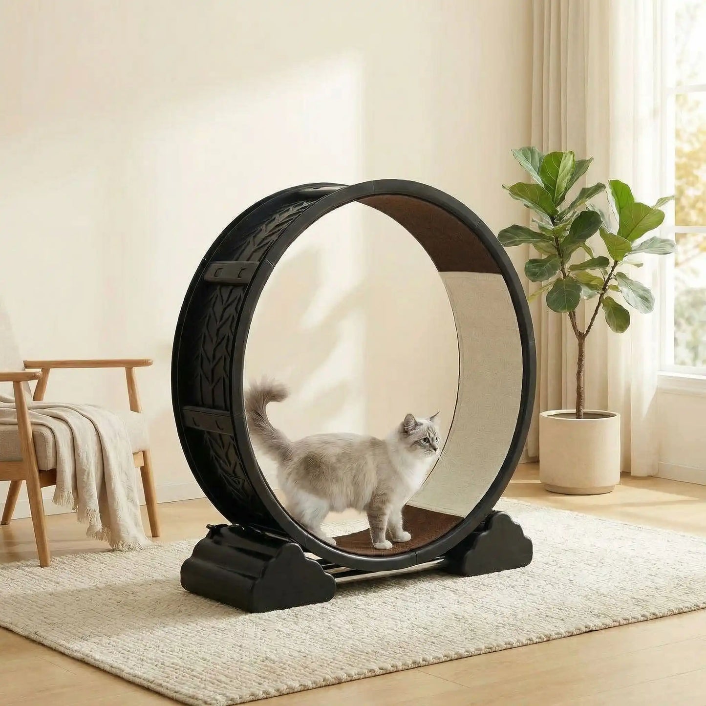 chat qui marche sur le tapis de sa roue pour chat noire