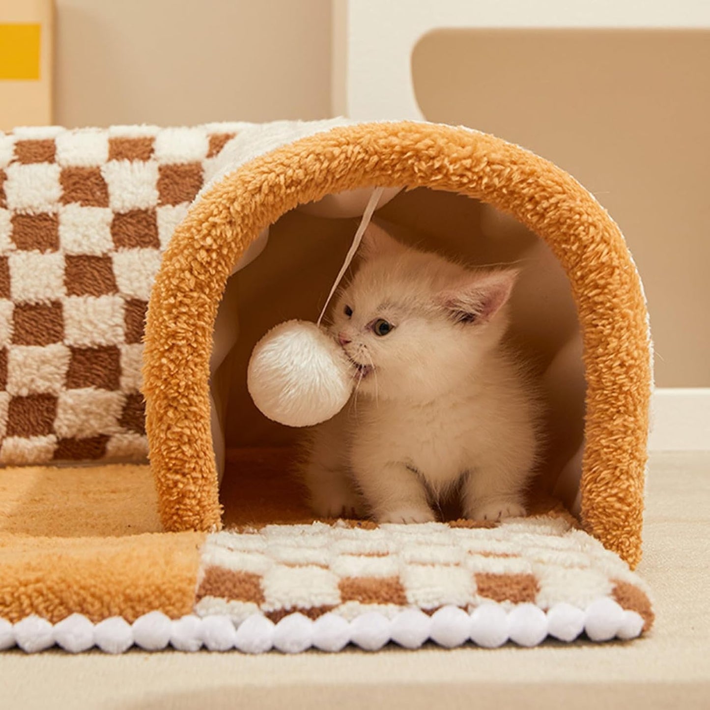 chat qui mordille la balle suspendue de son tunnel chat