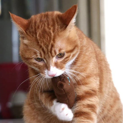 Chat qui mordille son jouet pour chat marron