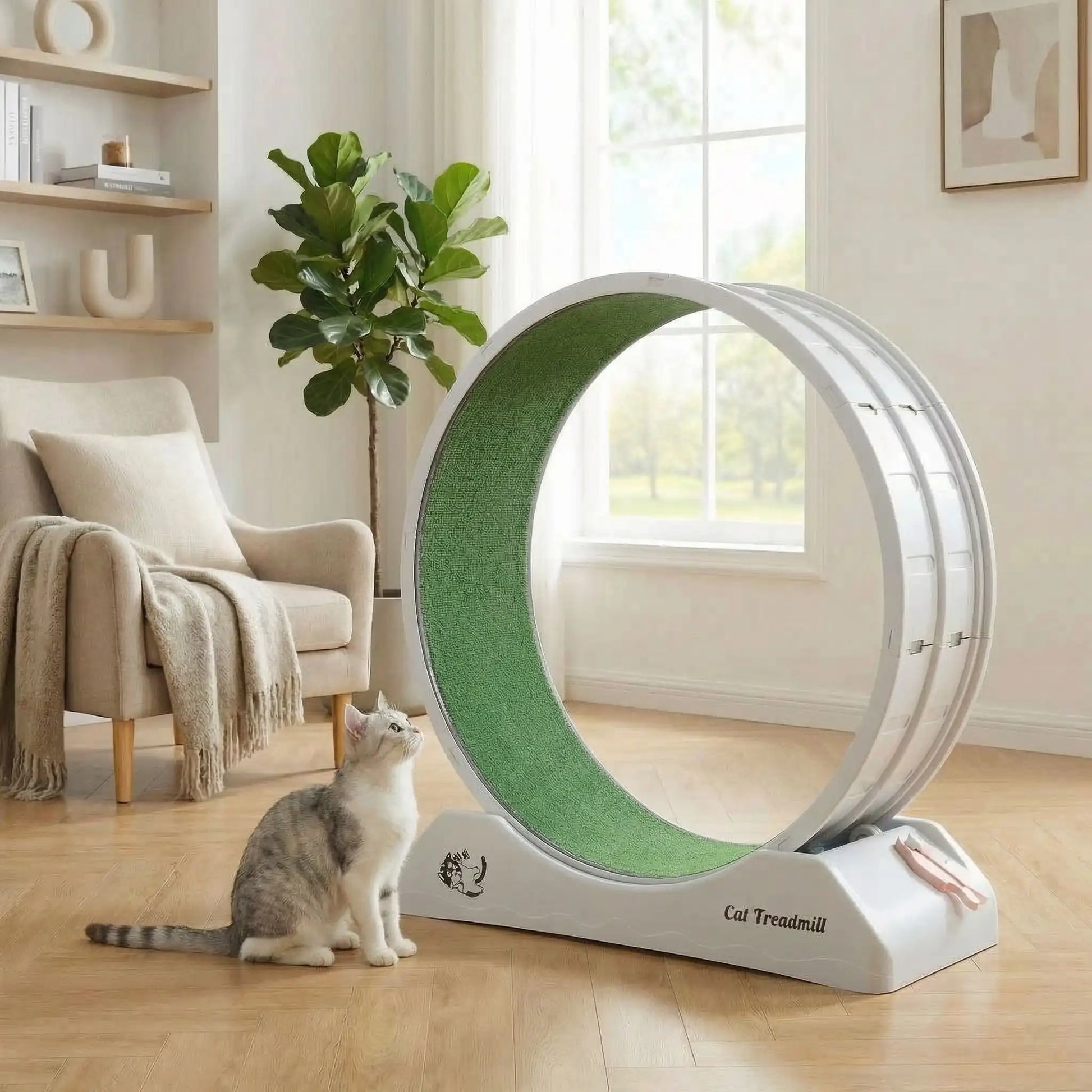 chat qui observe la nouvelle roue pour chat dans son salon