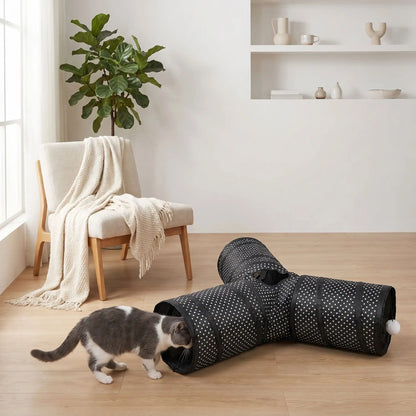 chat qui observe le tunnel chat y noir a pois blanc