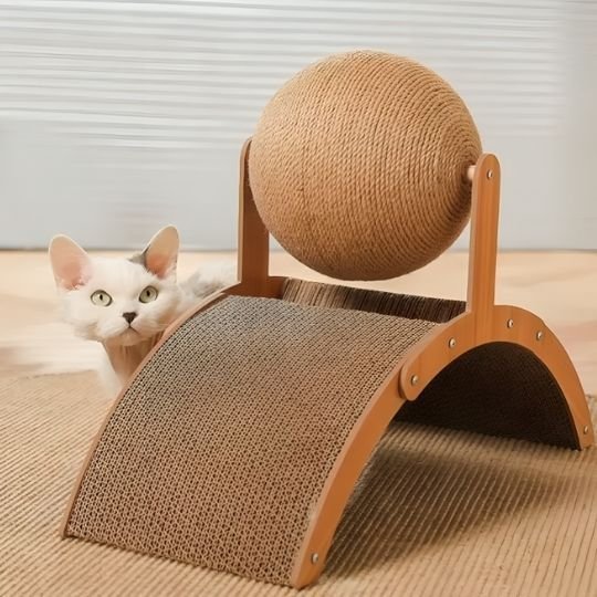 Chat qui observe son nouveau griffoir