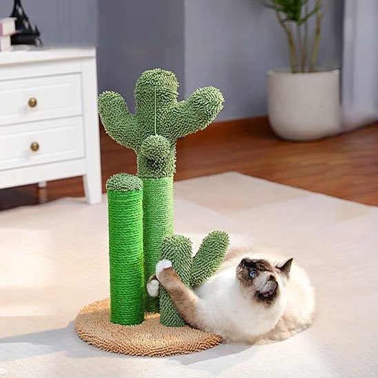 Chat qui sagrippe a son nouveau griffoir chat cactus