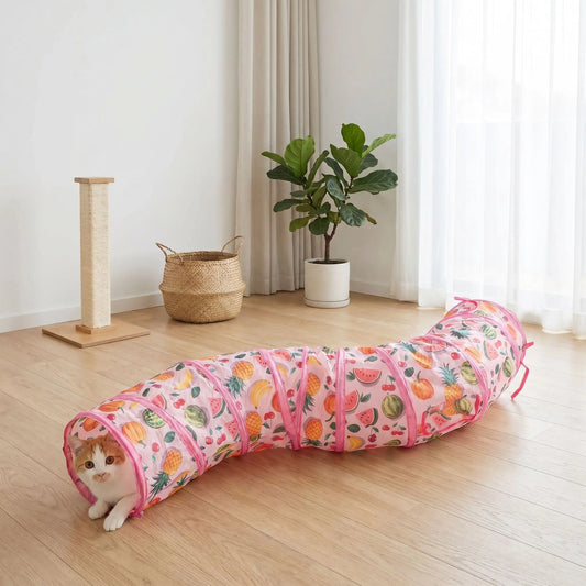 chat qui se cache dans son nouveau tunnel chat en forme de s