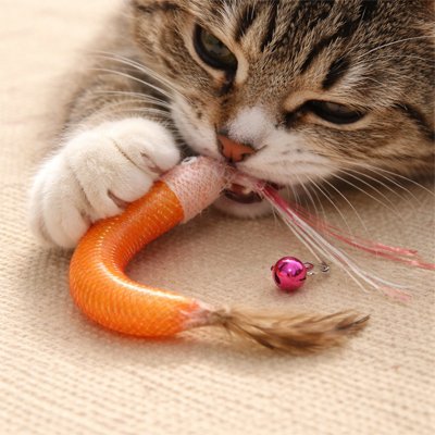 chat qui se defoule contre son jouet pour chat a clochette