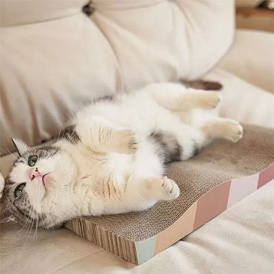 Chat qui se frotte contre son griffoir en carton pour chat