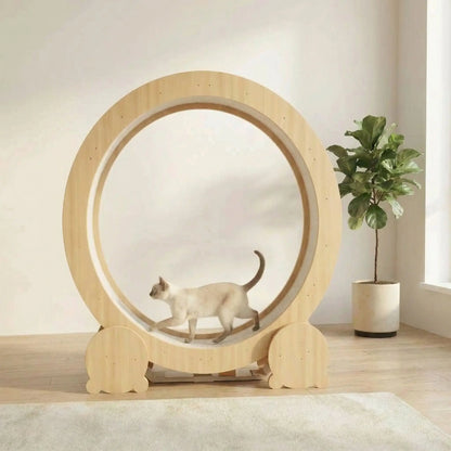 chat qui se maintient en forme grace a sa roue chat en bois naturel