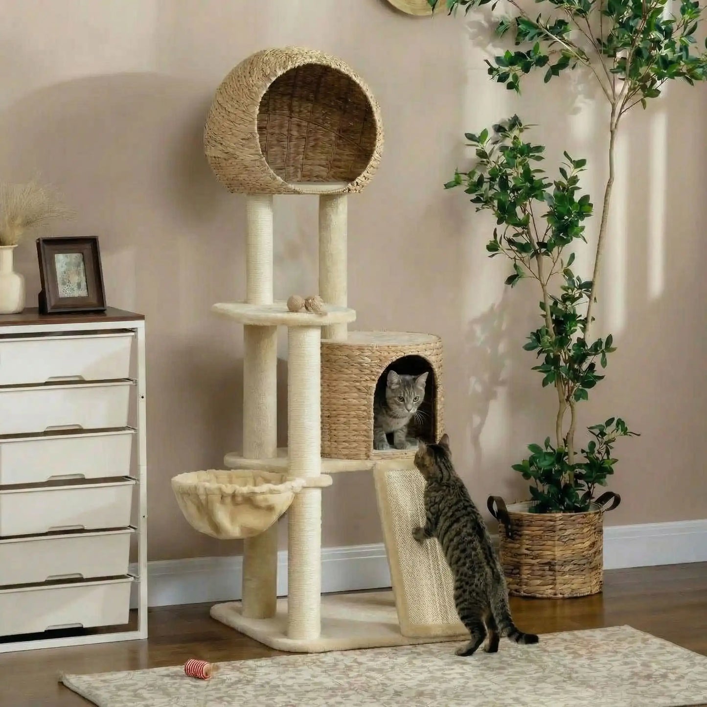 chat qui se refugie dans son abri de leur arbre a chat