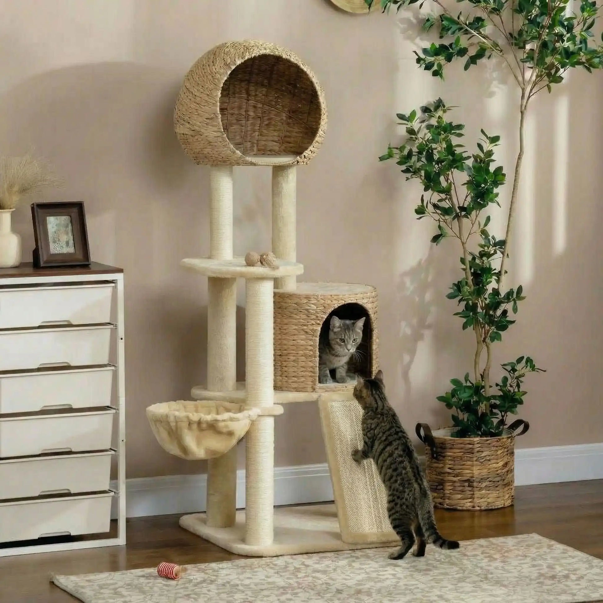 chat qui se refugie dans son abri de leur arbre a chat