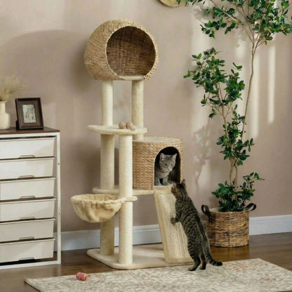 chat qui se refugie dans son abri de leur arbre a chat