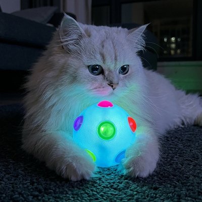 chat qui se repose aupres de sa balle pour chat lumineuse multicolore