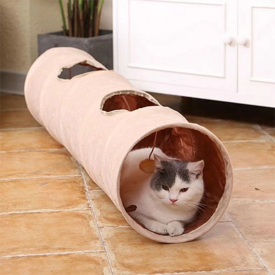 chat qui se repose dans son tunnel pour chat au salon