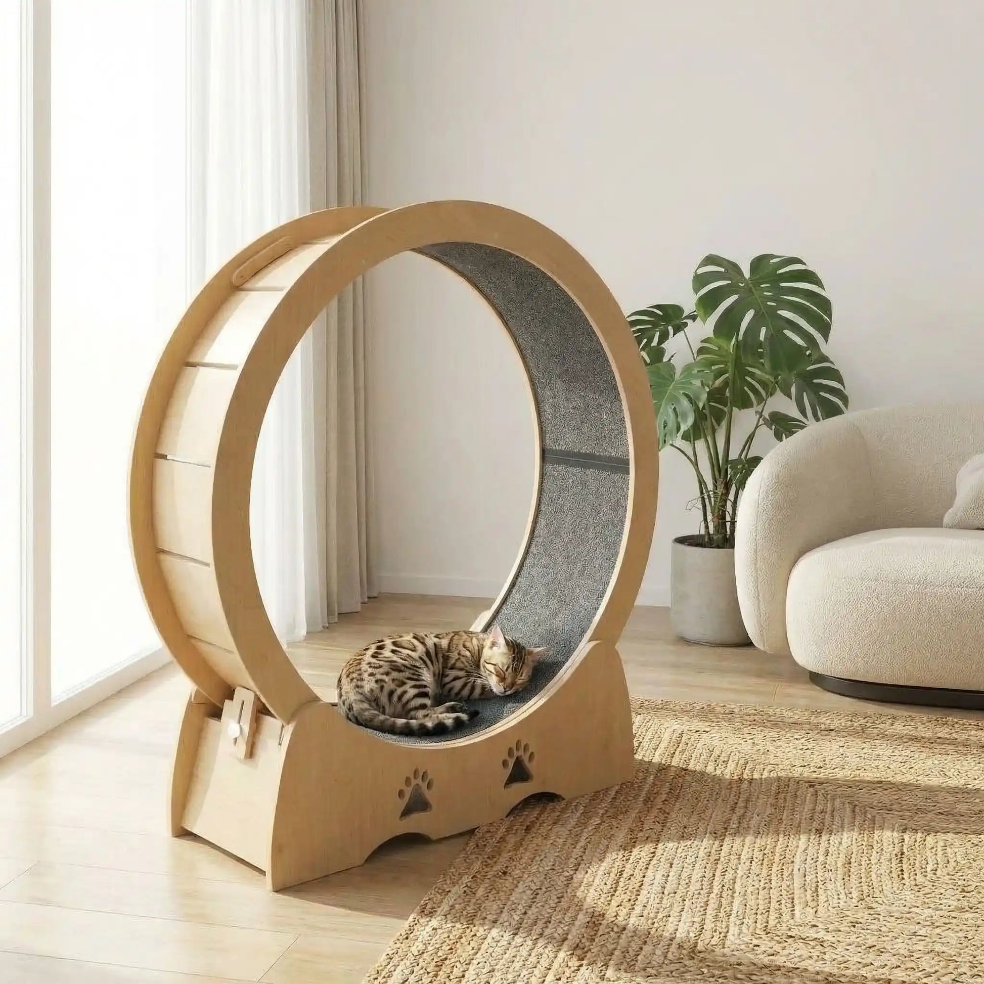 chat qui se repose sur le tapis griffoir de sa roue a chat