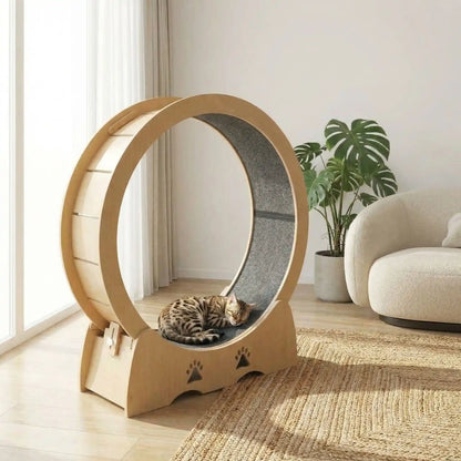 chat qui se repose sur le tapis griffoir de sa roue a chat