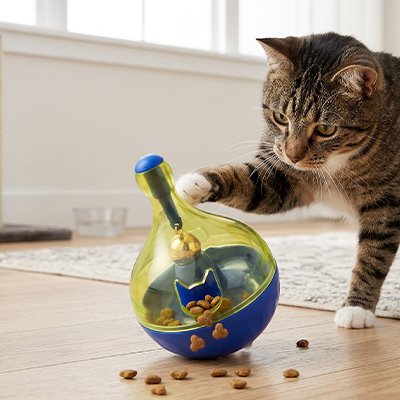 chat qui tend la patte vers son nouveau jouet pour chat