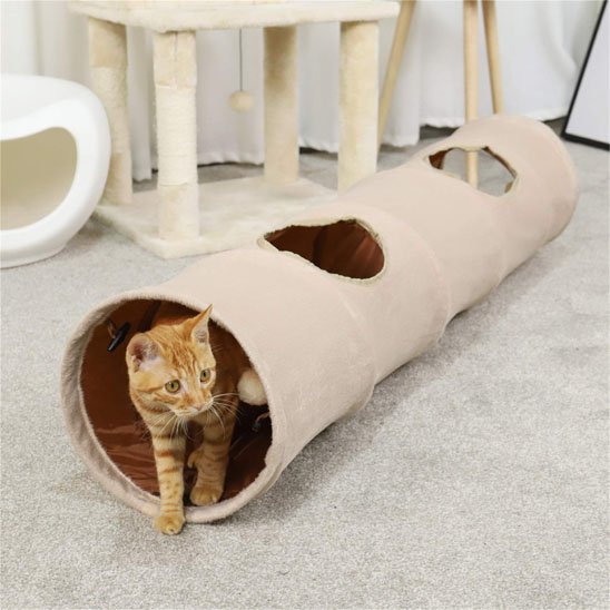 chat roux qui decouvre son nouveau tunnel pour chat en tissu doux