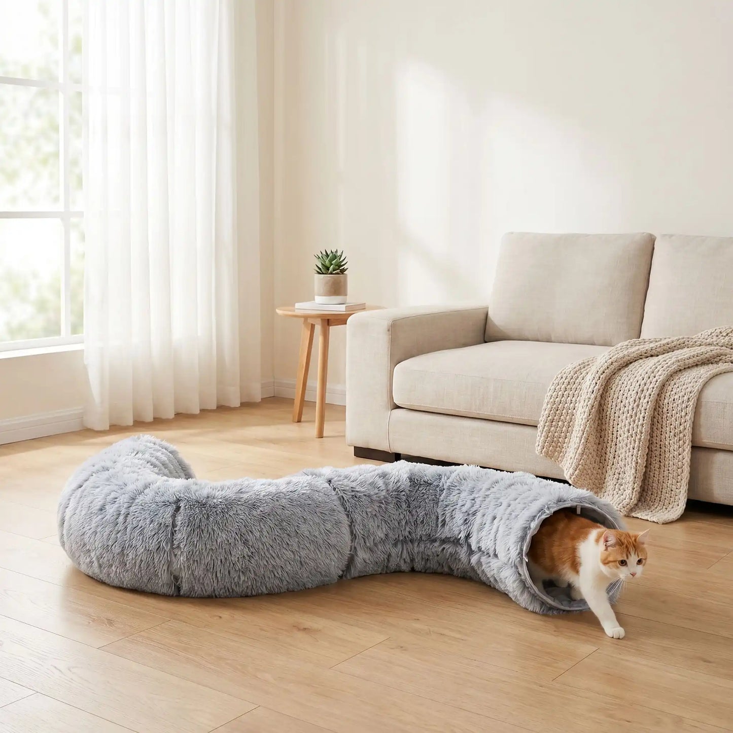 chat roux qui decouvre son tunnel chat en peluche grise