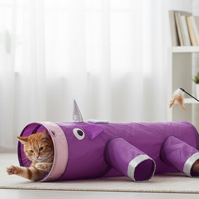 chat roux qui joue dans son tunnel pour chat