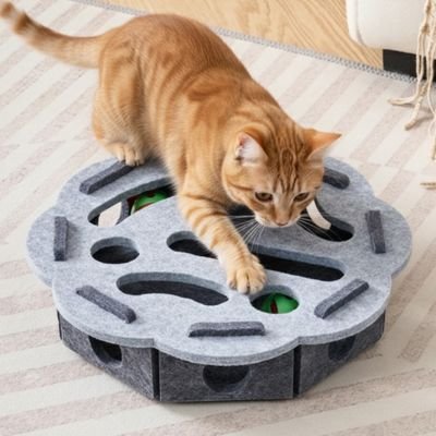 Chat roux sur son jouet pour chat stimulant