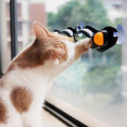 Chat stimule grace a son jouet pour chat interactif qui donne sur lexterieur
