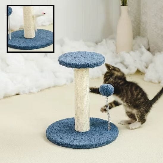 Chaton qui fait ses griffes sur son nouveau griffoir chat bleu