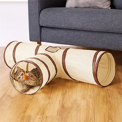 chaton qui joue avec la balle de son tunnel pour chat en forme de t