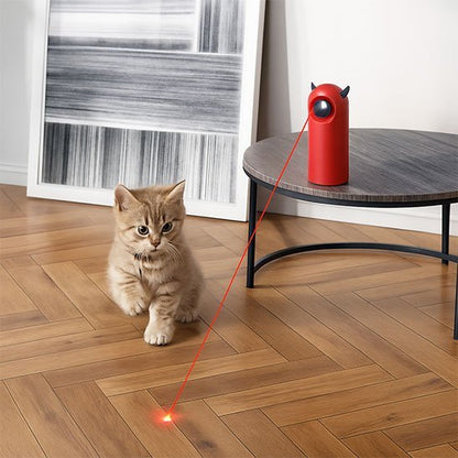 Chaton qui joue avec son nouveau laser
