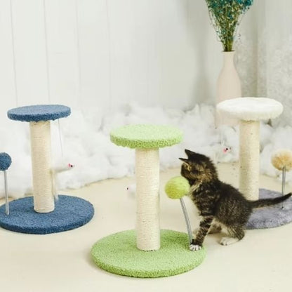Chaton qui presente les trois differents coloris de griffoir chat