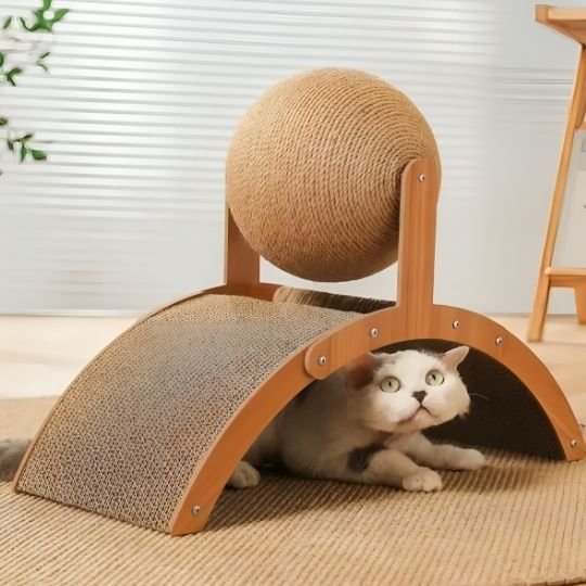 Chaton qui se cache en dessous de son griffoir
