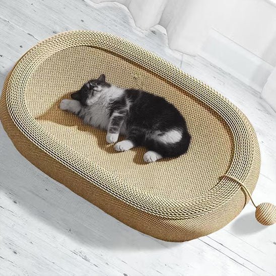 Chaton qui se repose sur le griffoir pour chat
