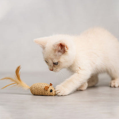 chaton stimule par son nouveau jouet pour chat en corde