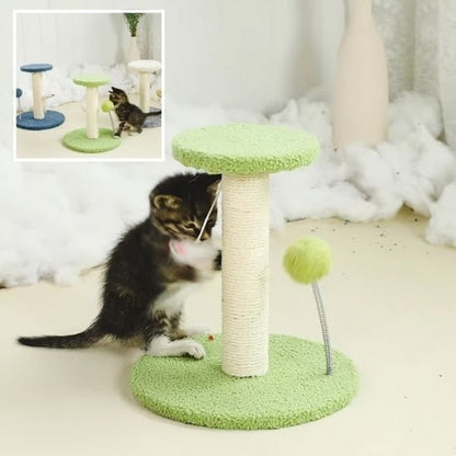 Chaton sur son griffoir chat vert