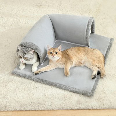 chats couches dans leur tunnel pour chat