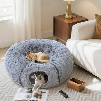 chats installes confortablement dans leur nouveau tunnel chat au salon