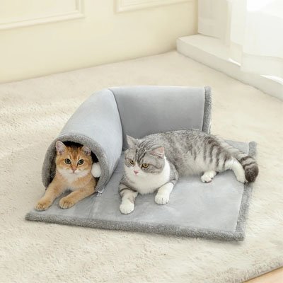 chats installes sur le tapis du nouveau tunnel pour chat gris
