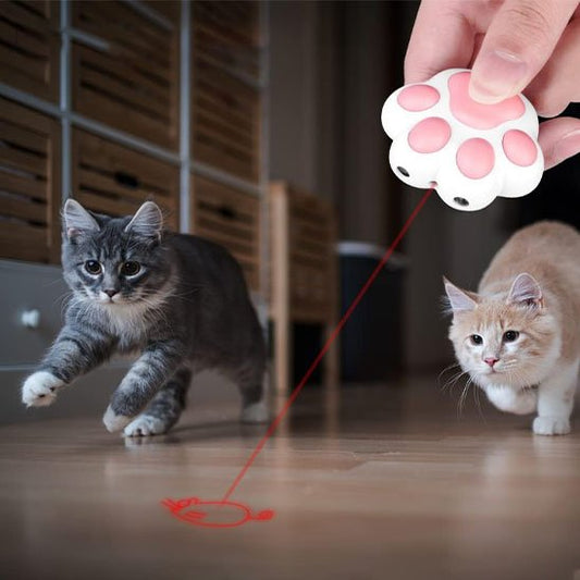 chats qui courent apres leur laser pour chat dans leur maison
