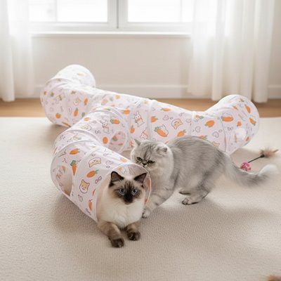 chats qui decouvrent leur nouveau tunnel chat ensemble