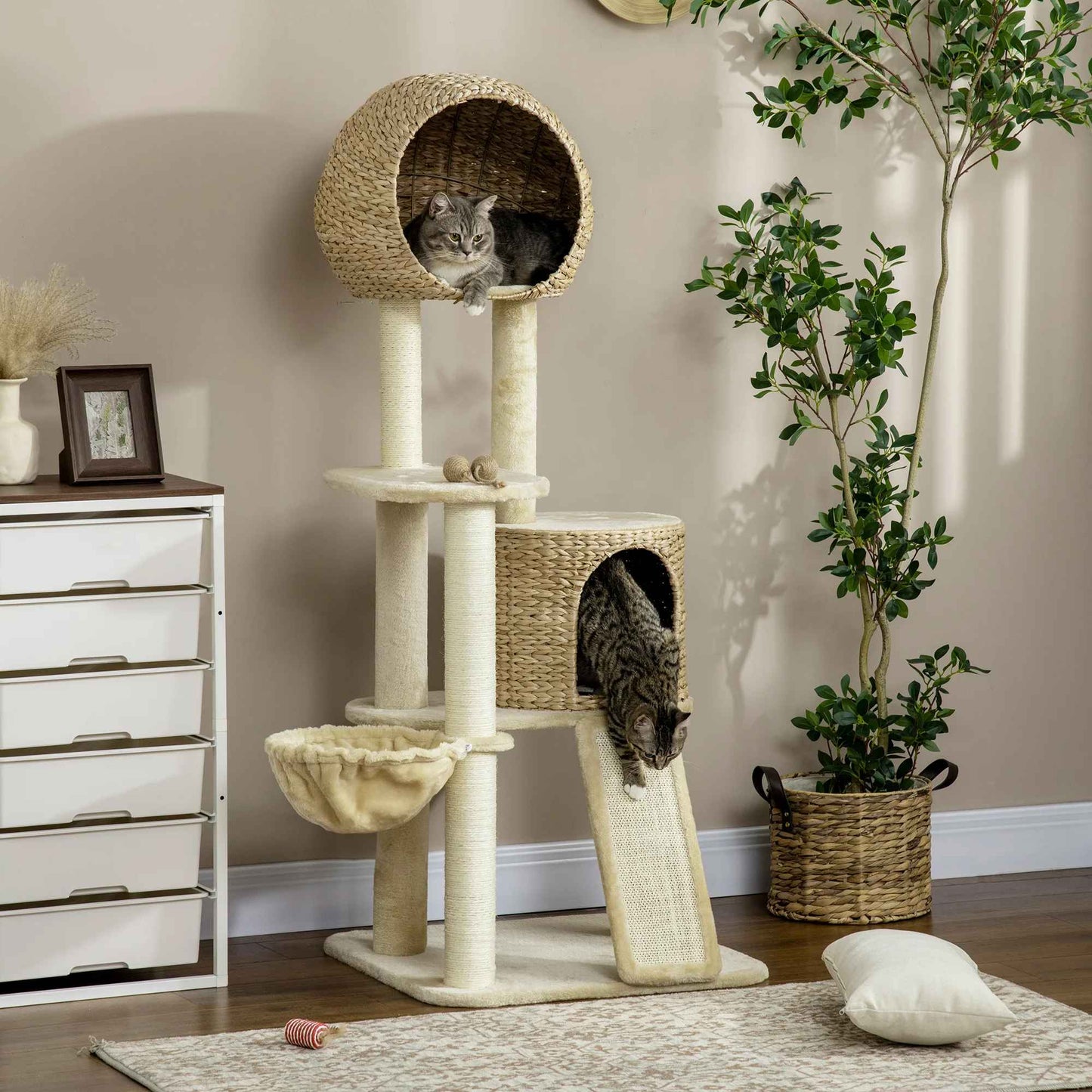 chats qui decouvrent leur nouvel arbre a chat cozy