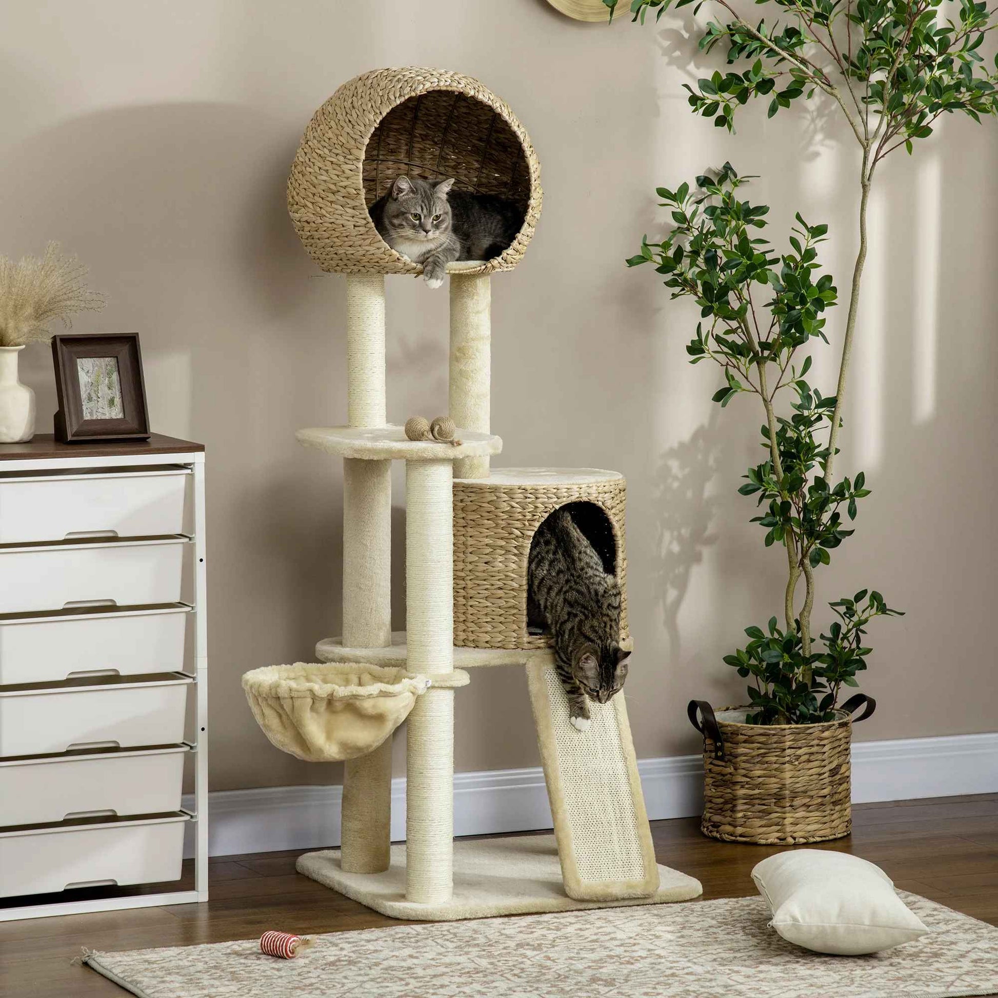 chats qui decouvrent leur nouvel arbre a chat cozy