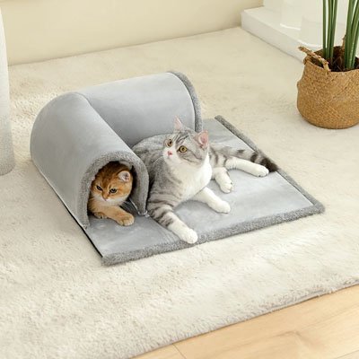 chats qui decouvrent leur tunnel pour chat en peluche au salon