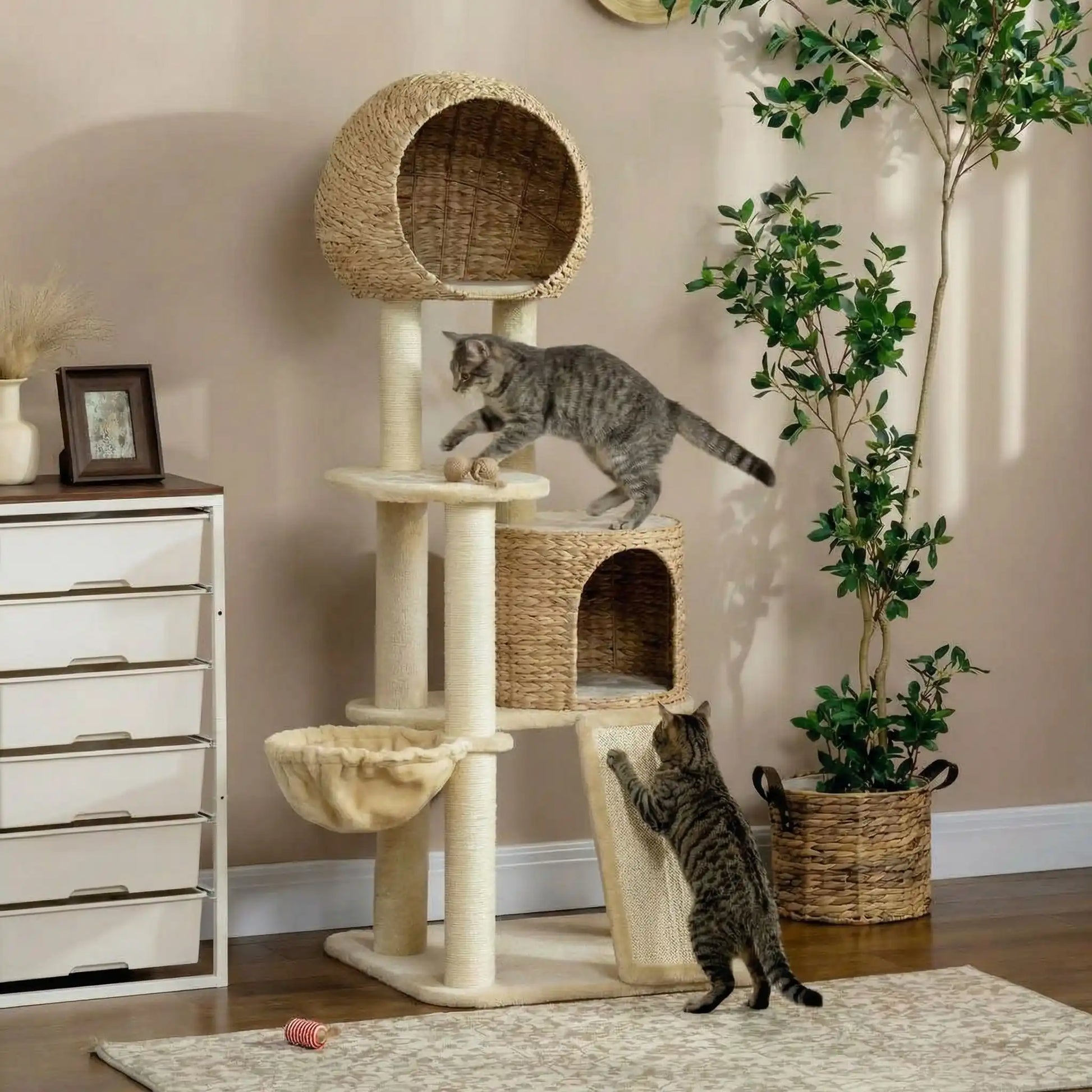 chats qui font leur riffes grace a leur arbre a chat inclinable