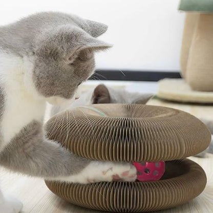 Chats qui jouent avec leur griffoir pour chat