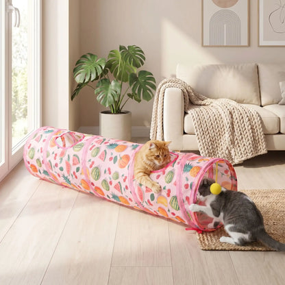 chats qui jouent ensemble dans leur tunnel chat au salon