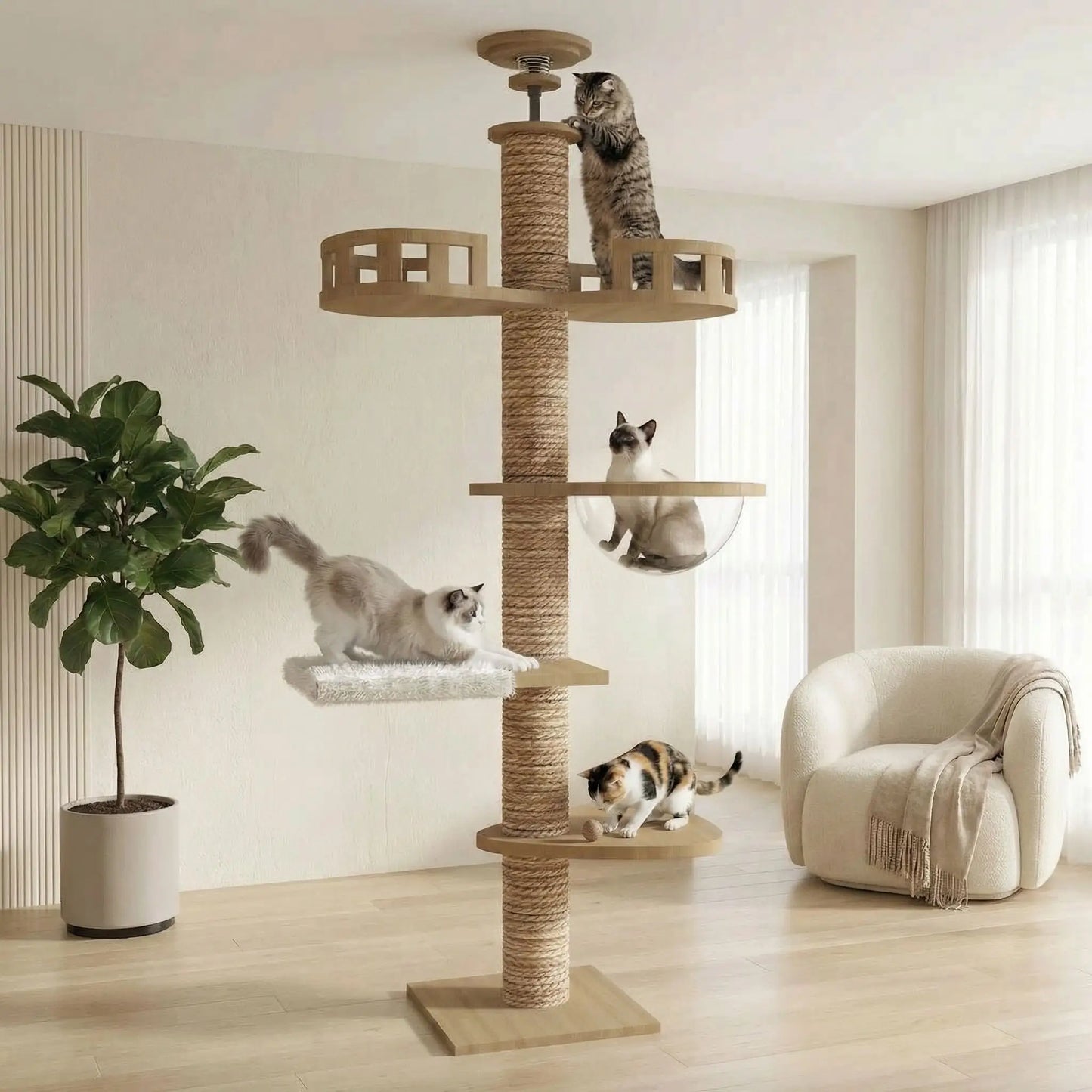 chats qui jouent ensemble grace a leur arbre a chat bois en corde