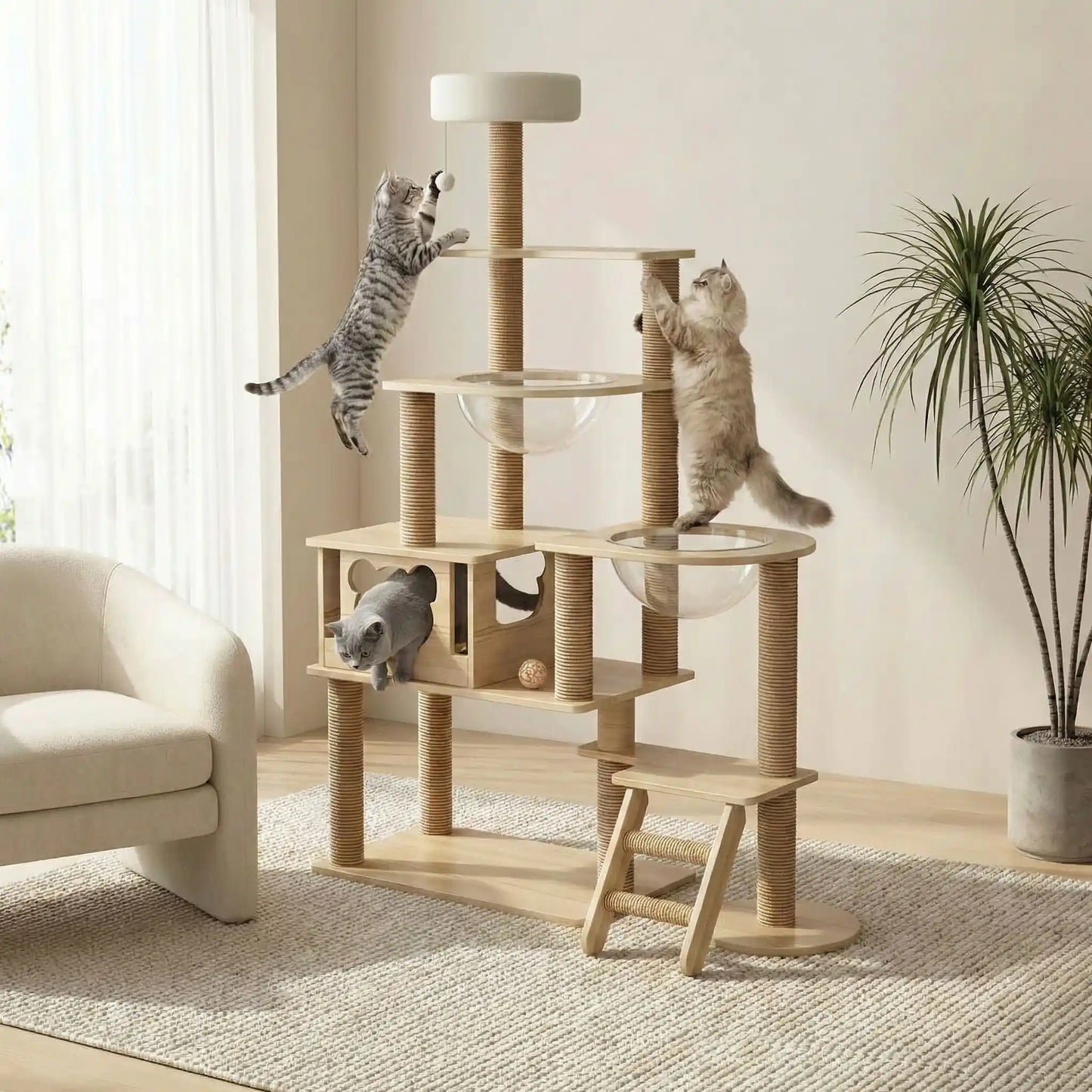 chats qui jouent ensemble grace a leur arbre a chat en bois