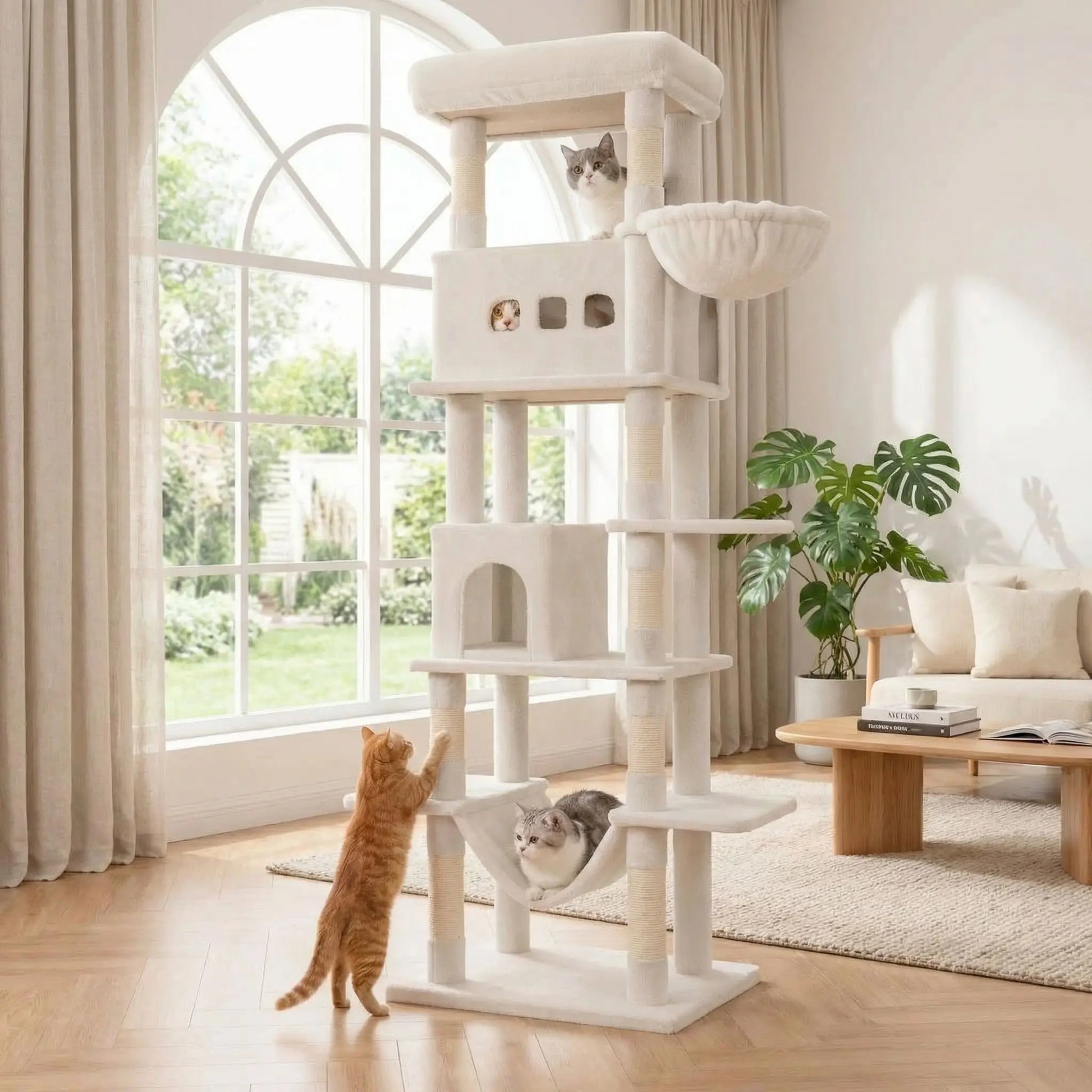 chats qui jouent ensemble grace a leur arbre a chat xxl