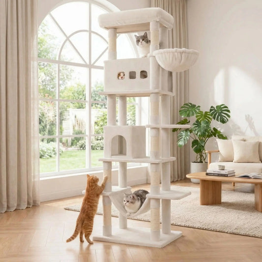 chats qui jouent ensemble grace a leur arbre a chat xxl