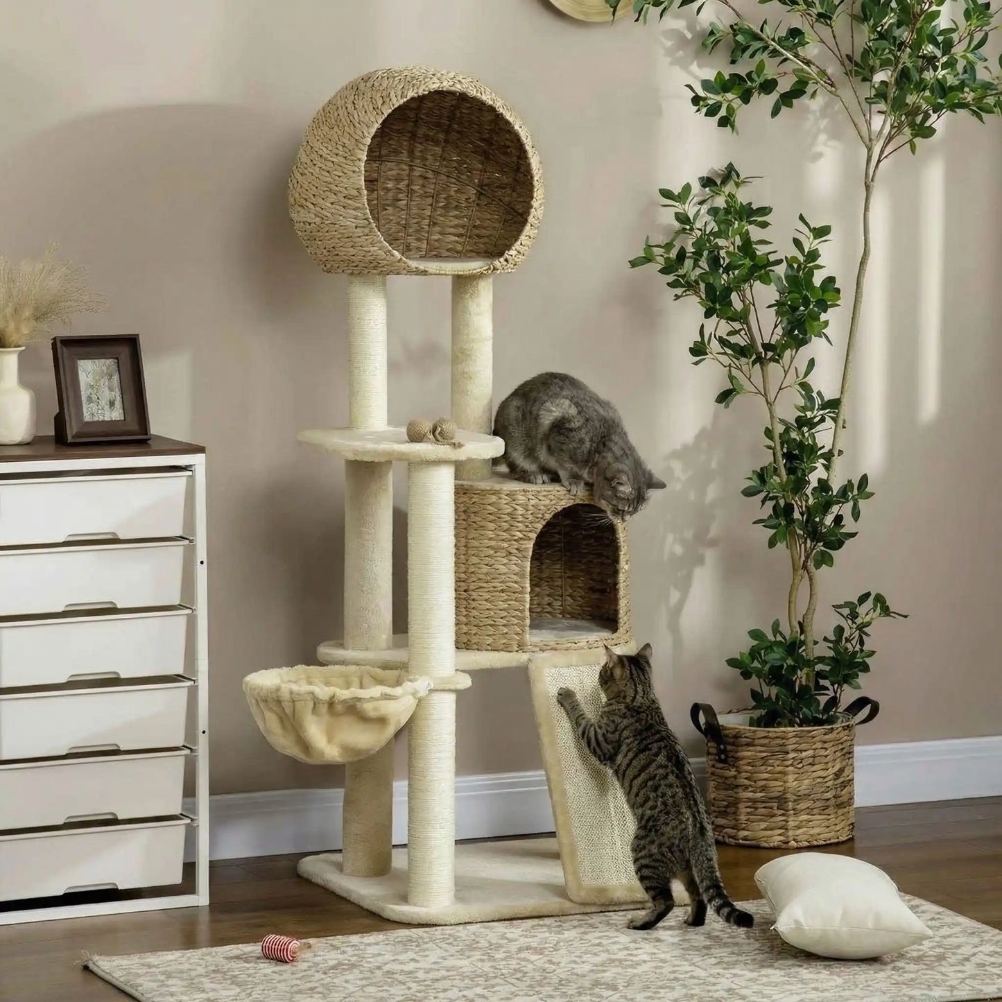 chats qui jouent ensemble sur leur nouvel arbre a chat en sisal